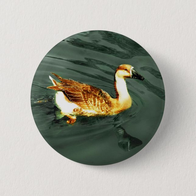 Duck Button (Vorderseite)