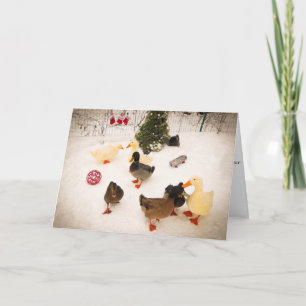 Duck Christmas Party Christmas Card Feiertagskarte