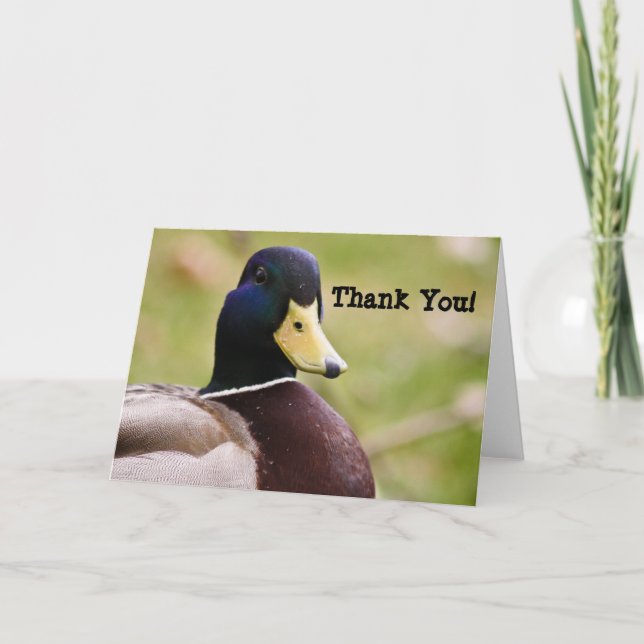 Duck Danke, Card Dankeskarte (Vorderseite)