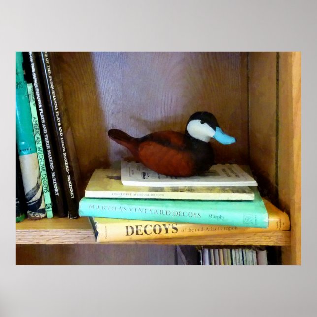 Duck Decoy auf der virtuellen Bibliothek Poster (Vorne)