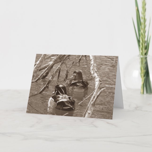 Duck Drake and Hen in Sepia Karte (Vorderseite)