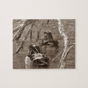 Duck Drake and Hen in Sepia Puzzle
