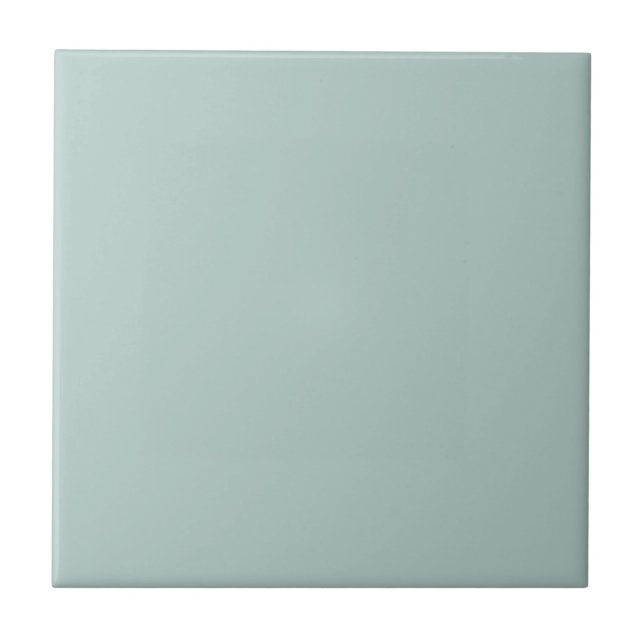 Duck Egg Blue Solid Color Tile Fliese (Vorderseite)