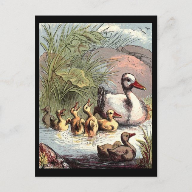 Duck-Familie Postkarte (Vorderseite)