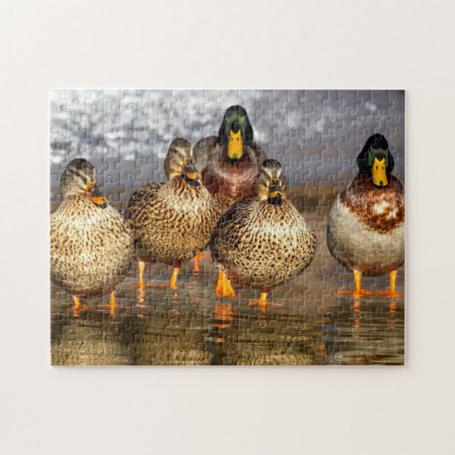 Duck-Familie Puzzle (Horizontal)