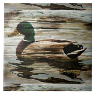 Duck Fliese