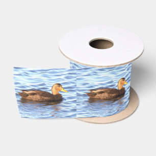 Duck-Foto Satinband