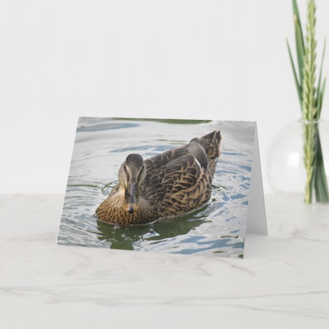 Duck Greeting Card Karte (Vorderseite)