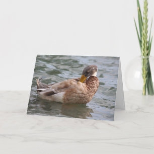 Duck Greeting Card Karte