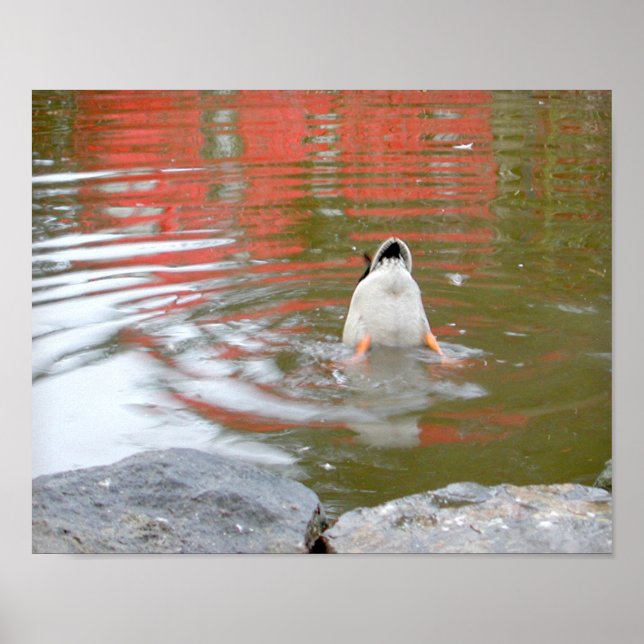 Duck Hintern Poster (Vorne)