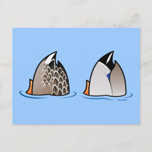 Duck Hinterns Postkarte