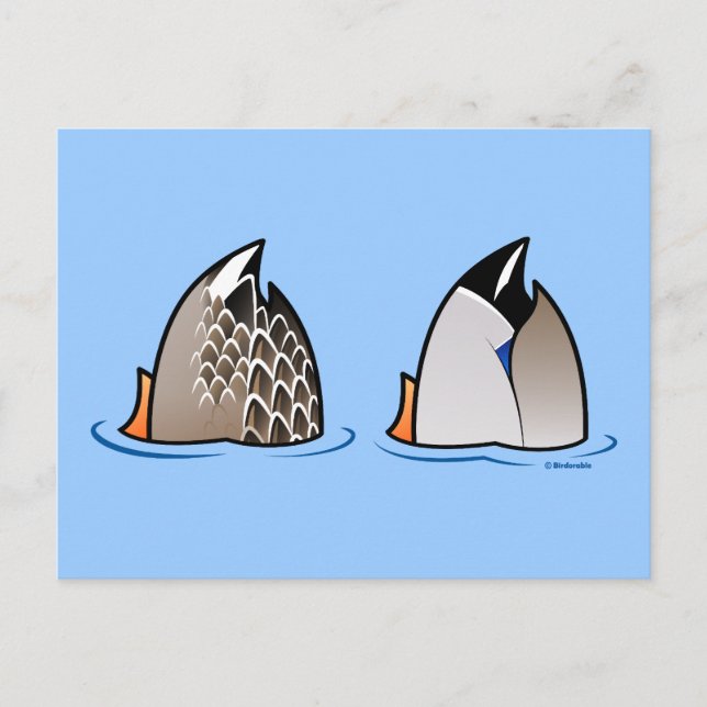 Duck Hinterns Postkarte (Vorderseite)