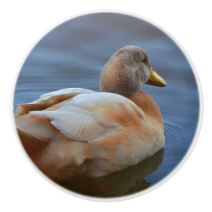 Duck Keramik Knob Keramikknauf