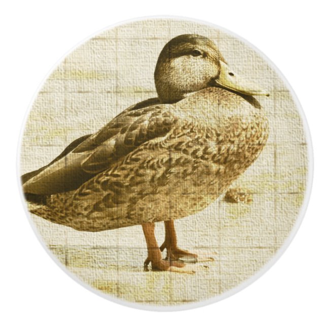 Duck Keramik Knob Keramikknauf (Vorderseite)