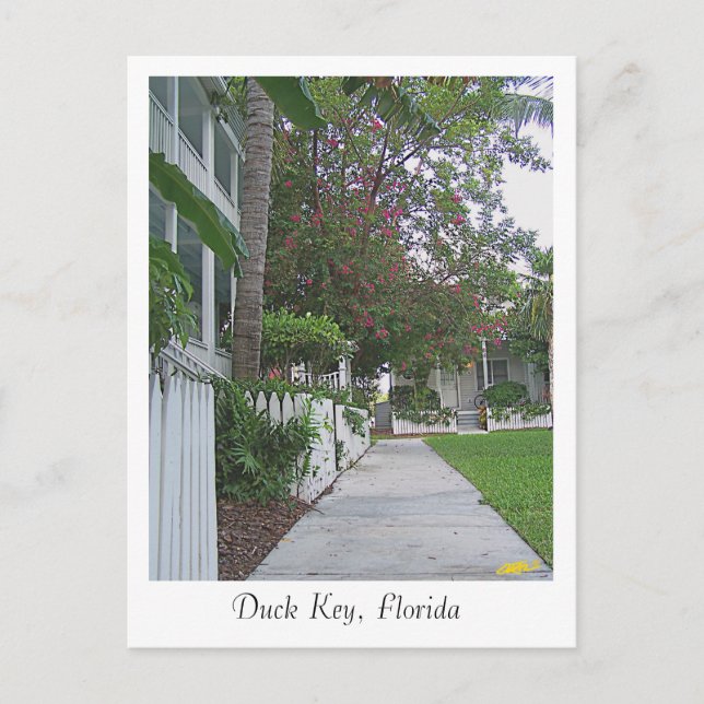 Duck Key, Florida Postkarte (Vorderseite)