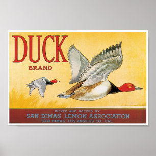 Duck Lemon San Dimas Los Angeles Landkreis Kalifor Poster