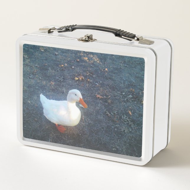Duck Lunch Box (Vorderseite)