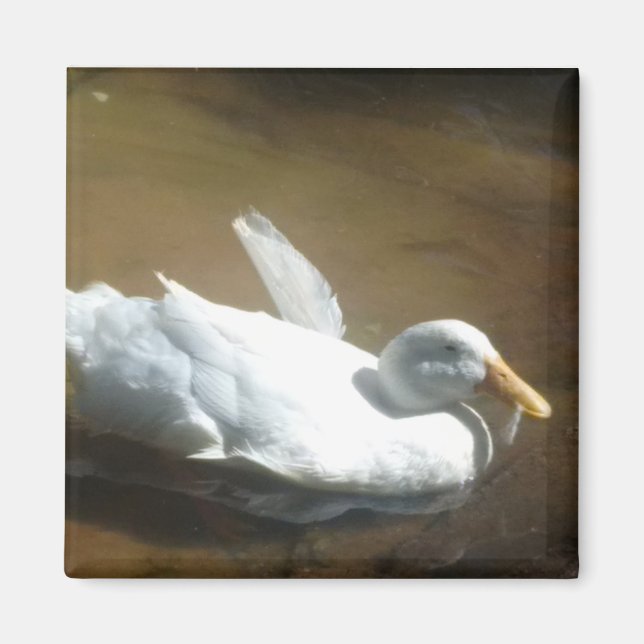 Duck Magnet (Vorne)