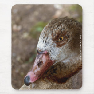Duck Mousepad