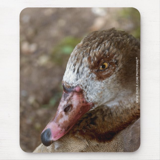 Duck Mousepad (Vorne)