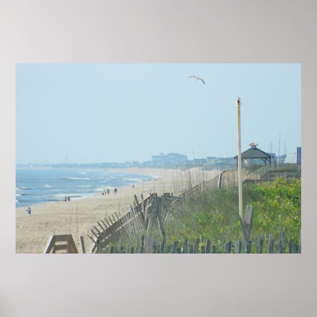 Duck North Carolina Coastline Poster (Vorne)