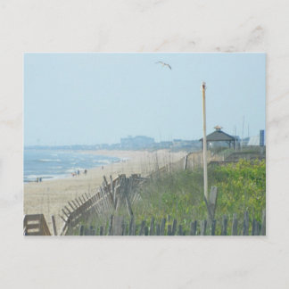 Duck North Carolina Coastline Postkarte