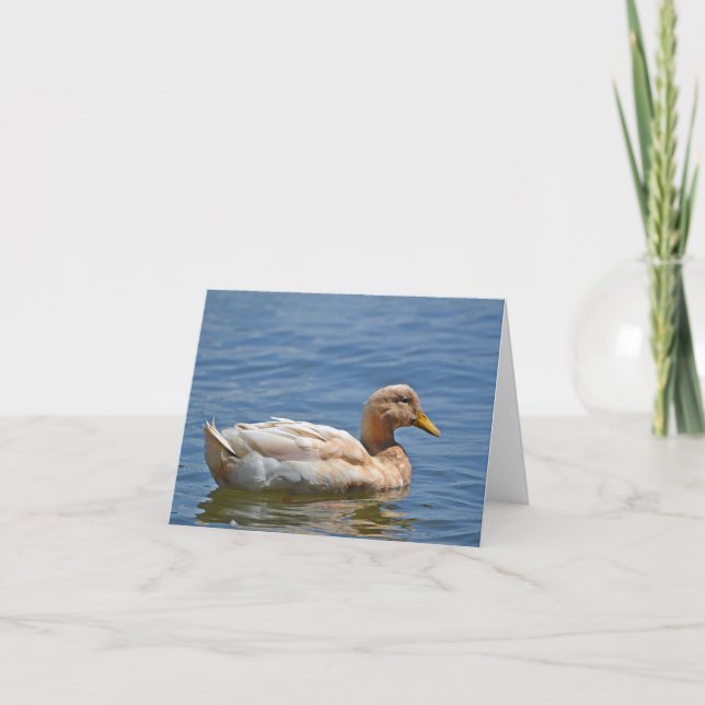 Duck Notecard Karte (Vorderseite)