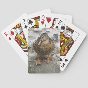 Duck on a Wall Playing Cards Spielkarten