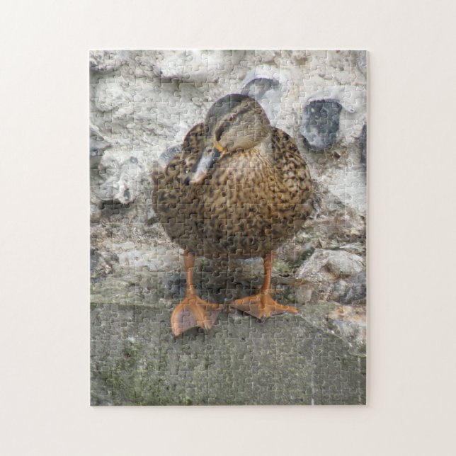 Duck on a Wall Puzzle (Vertikal)