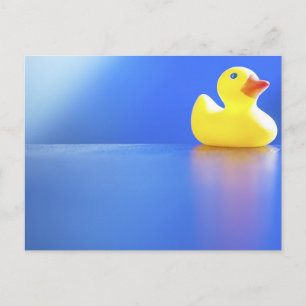 Duck on Blue Postkarte