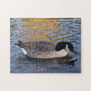 Duck on the Water Regent's Park London UK Puzzle
