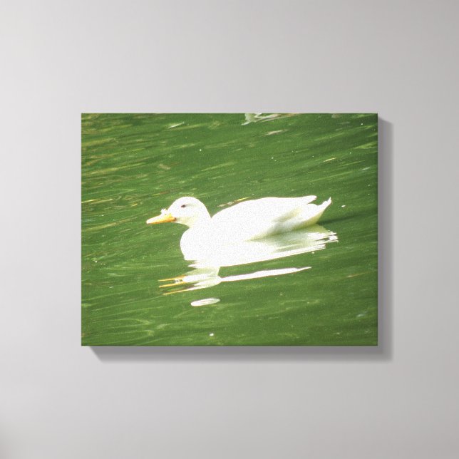 Duck on Water Canvas Print Leinwanddruck (Vorderseite)