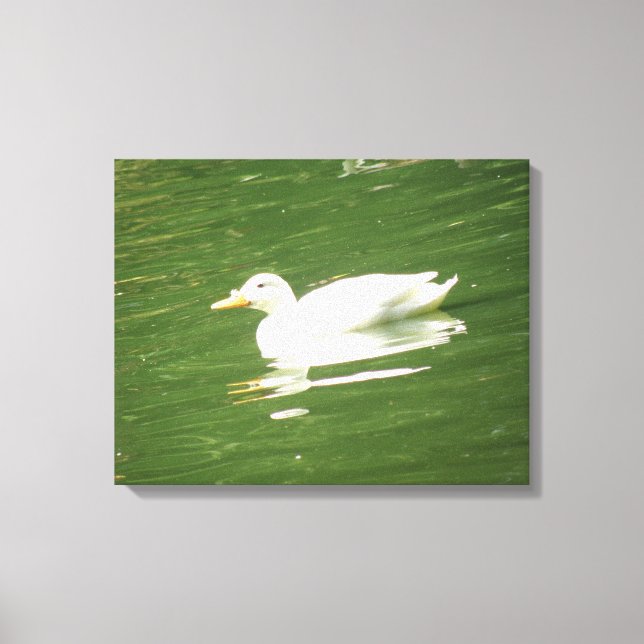 Duck on Water Canvas Print Leinwanddruck (Vorderseite)