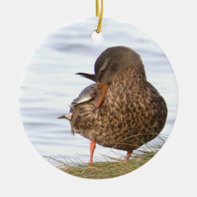 Duck Photo Ornament  (Vorne)