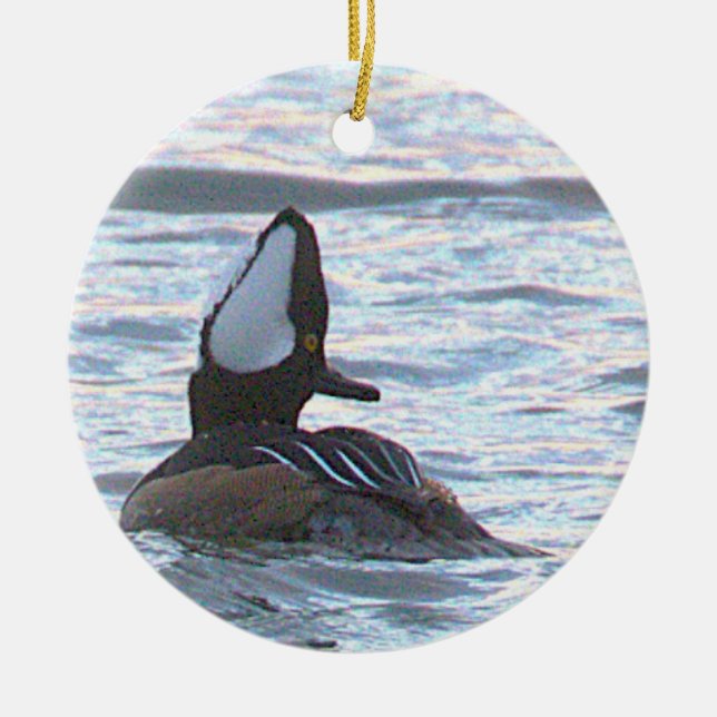 Duck Photo Ornament (Vorne)