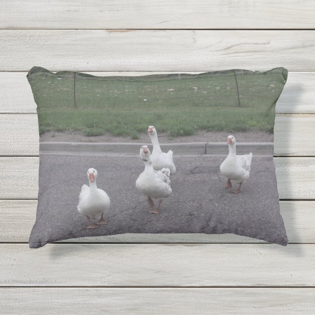 Duck Pillow Kissen Für Draußen (Vorderseite)