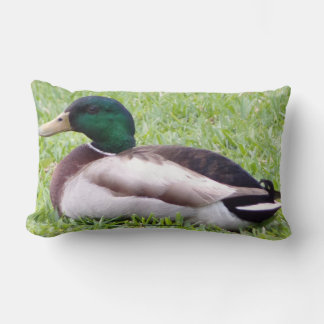 Duck Pillow Lendenkissen