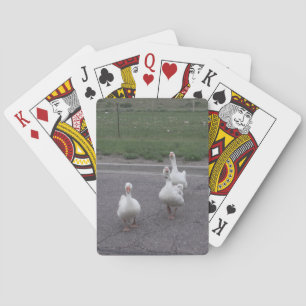 Duck Playing Cards Spielkarten