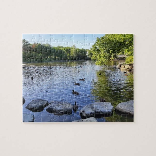 Duck Pond Puzzle (Horizontal)