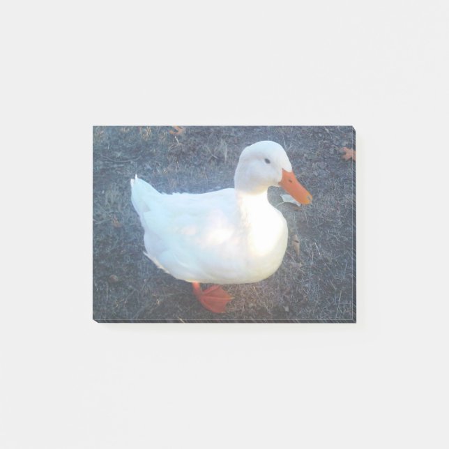 Duck Post-it Klebezettel (Vorderseite)