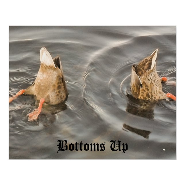 Duck Poster (Vorderseite)