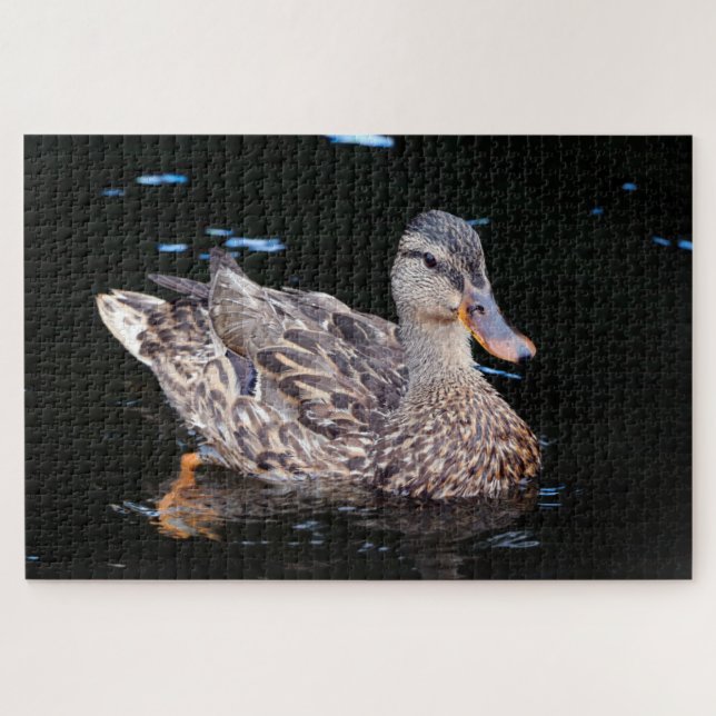 Duck Puzzle (Horizontal)