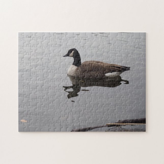 Duck Reflection Central Park New York Puzzle (Horizontal)