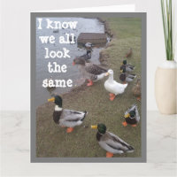 DUCK SAGT "YOU" STAND IN A CROWD!!!!!