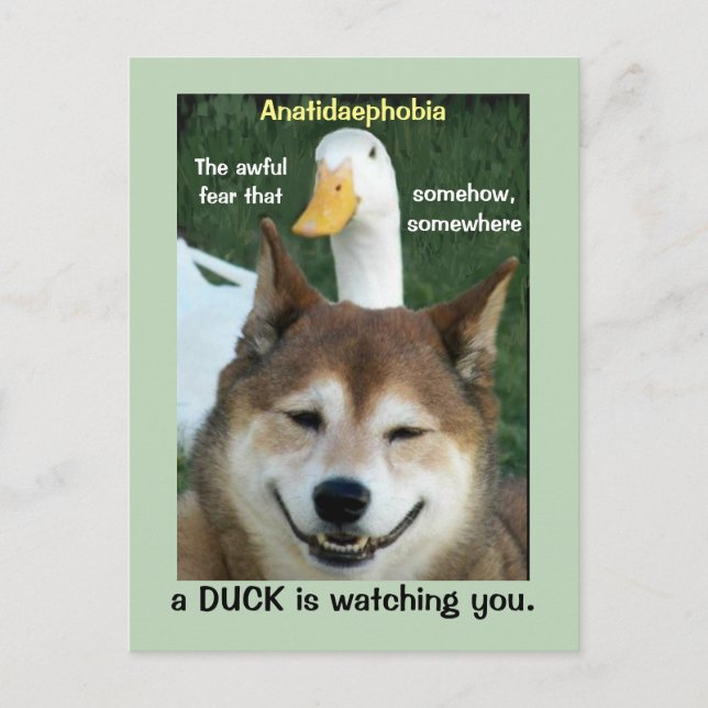 Duck Shiba Inu Dog Anatidaephobia Foto Funny Doge Postkarte (Vorderseite)