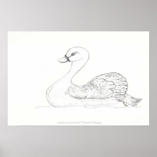 Duck Sketch Poster (Vorne)