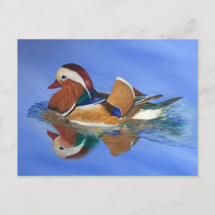 Duck Swimming JW Postkarte