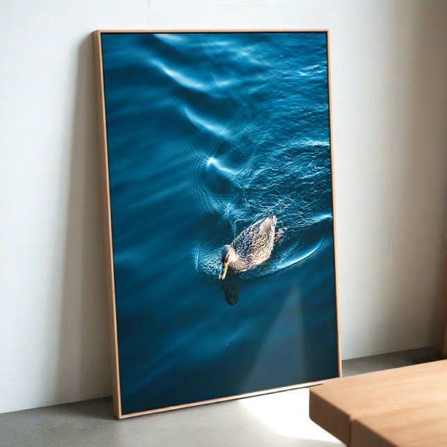 Duck Swimming Poster (Von Creator hochgeladen)