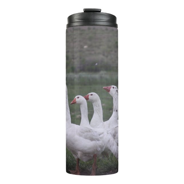 Duck Thermal Tumbler Thermosbecher (Vorderseite)