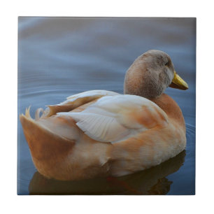 Duck Trivet Fliese